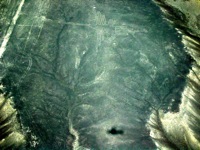 nasca lines