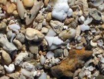 Aitutaki Beach Sand - Cook Islands