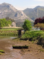 arturius