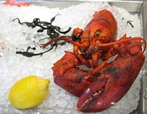 lobster dinner