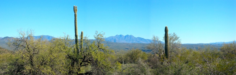 Four Peaks