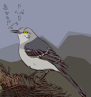 mockingbird