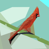 Northern Cardinal