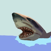 shark