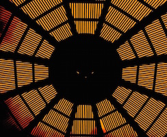 San Diego Botanical Garden