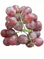 Grapes